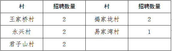 【洛陽招聘】高中可報！專業(yè)不限,！洛陽一鎮(zhèn)招聘村干部公告